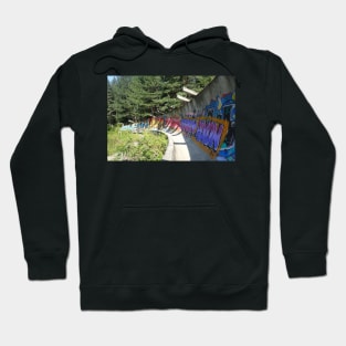 Abandoned Bobsled Track in Sarajevo Hoodie